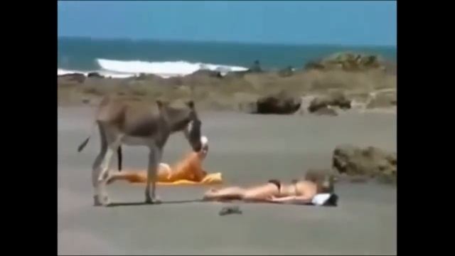 Нарезка приколов девушками!мега ржач.Приколы до слёз.угар! смотреть онлайн