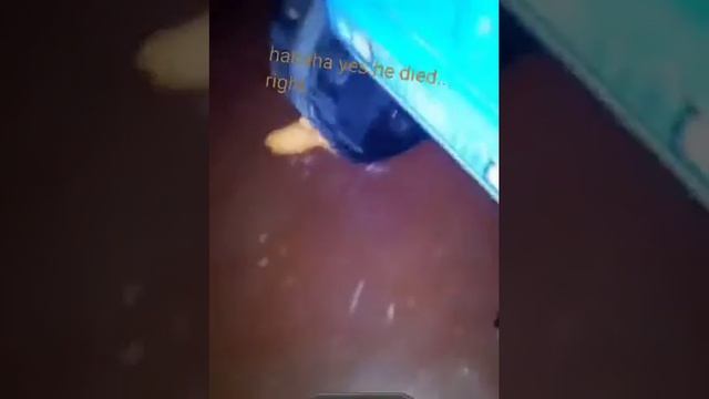 [SFM]-(clay play) - left 4 dead 2: Nick kill Ellis.. смотреть онлайн