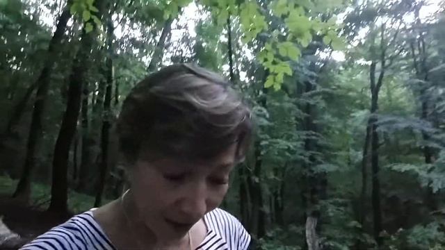 Подсказка Таро на 2.07.17 (Всадник жезлов) смотреть онлайн