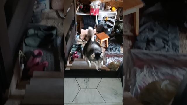 Одной улочкой сыт не будешь смотреть онлайн