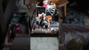 Одной улочкой сыт не будешь