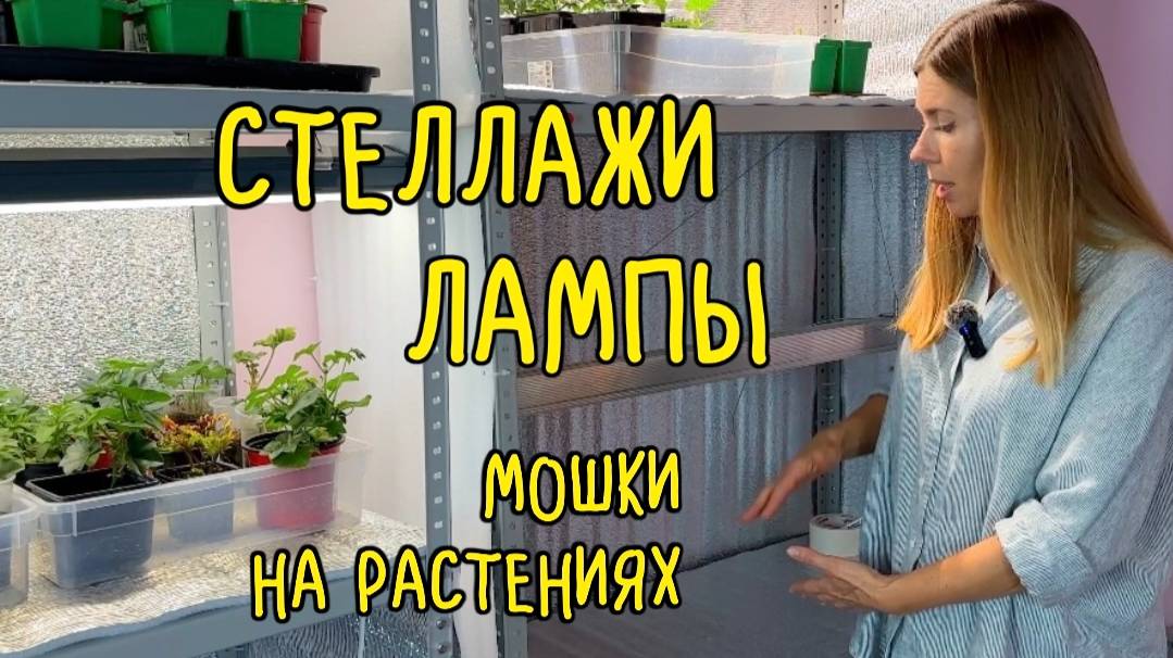 КАК ОРГАНИЗОВАНЫ МОИ СТЕЛЛАЖИ ДЛЯ РАССАДЫ И ЗИМНЕГО ОГОРОДА. Мошки на комнатных растениях, как избав смотреть онлайн
