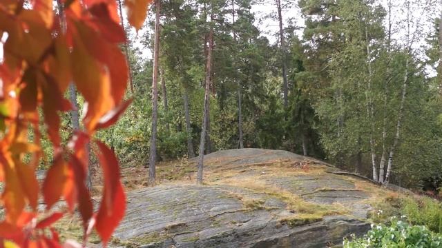 just autumn смотреть онлайн