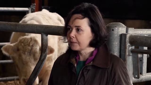 Beef Panel Discussion смотреть онлайн