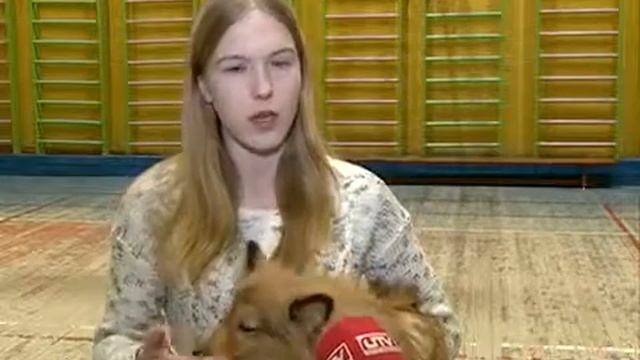 ЧЕТВЕРОНОГИЕ ТЕРАПЕВТЫ