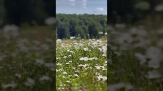 Кто Я #идущая смотреть онлайн