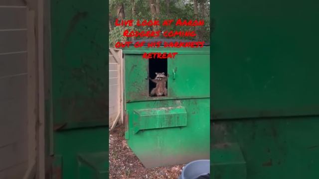 Live look at Aaron Rodgers coming out of his darkness retreat 😂 (Video credit: NFL Memes) смотреть онлайн