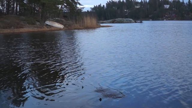 Långsjön Tyresö смотреть онлайн