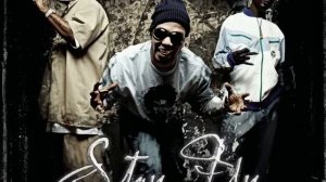 Stay Fly