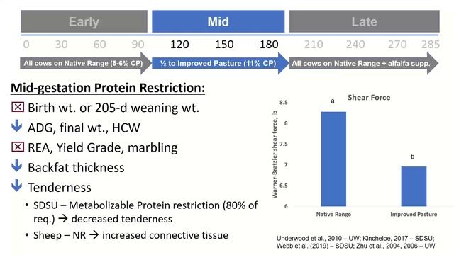 How Cow Nutrition Affects Calf Performance смотреть онлайн