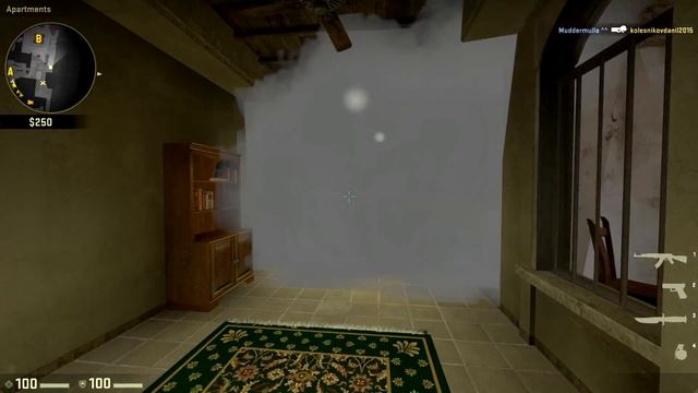 CSGO - PP och Hanna смотреть онлайн