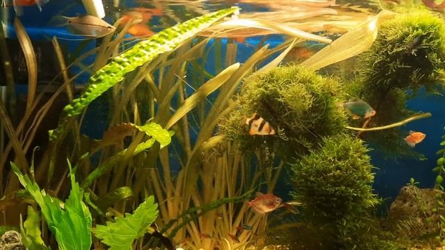 крапива и огурец смотреть онлайн