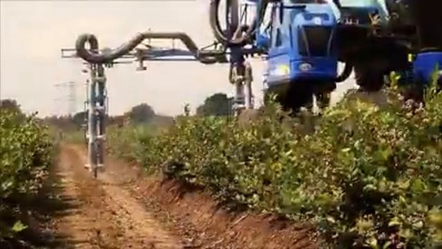 Bog'dorchilik Biznesi Ajoyib Edia