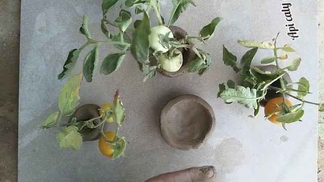 Today, we have made very cute little toys of very fine soil / 28 Ramzan Mubarak / Pakistani Clay смотреть онлайн