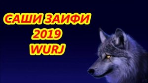 САШИ ЗАИФИ 2019 ВУРЧ,-SASHI ZAIFI 2019 - WURJ