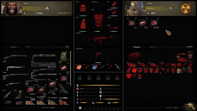 Stalker: Anomaly Custom