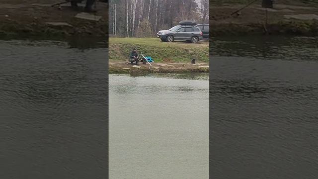 видео с водоёма смотреть онлайн