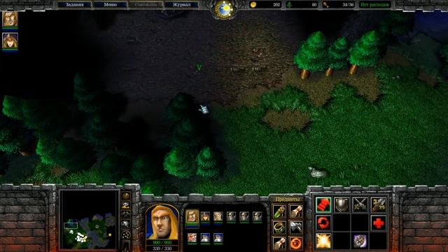 WarCraft 3 Компания Альянса Глава Четвертая  "Культ Проклятых"