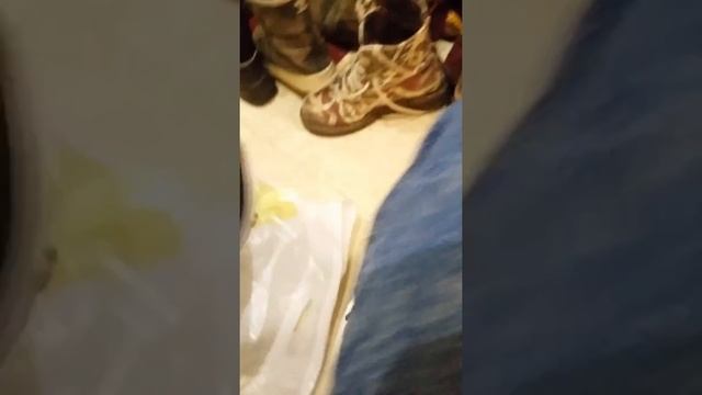 Наконецто купила кросы смотреть онлайн