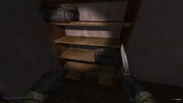 Stalker Anomaly Ah that damn STALKER AI! смотреть онлайн