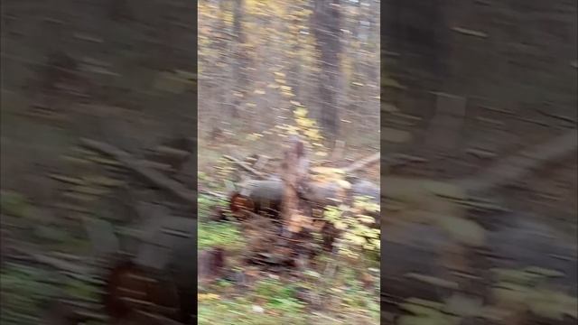 Дорога отдыхающих смотреть онлайн