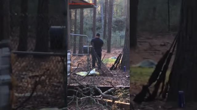 Aprendiendo a despistar un arma 9 milímetros y un rifle смотреть онлайн