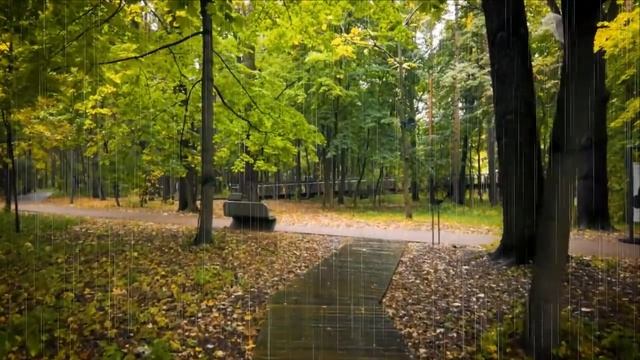 Дождь в осенней Москве смотреть онлайн