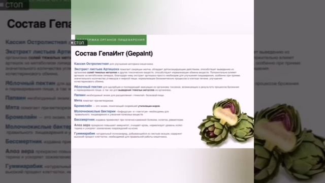 Гепаинт от AGenYZ. Поддержка органов пищеварения. Олег Андрийчук