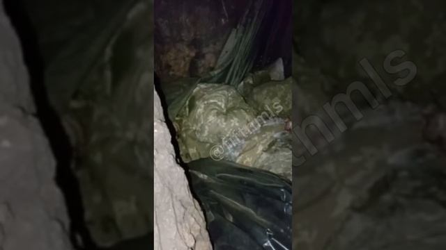 ⚡️СВО 18+ Экскурсия по бывшым позициям ВСУ с результатом минус 4 смотреть онлайн
