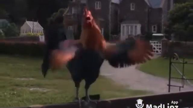 Wake up Bitches смотреть онлайн