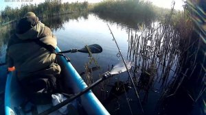 рыбалка на лимане