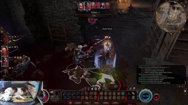 Wood Elf Ranger (Gloom Stalker) in Baldur's Gate 3 -Episode 5 Part 2- смотреть онлайн
