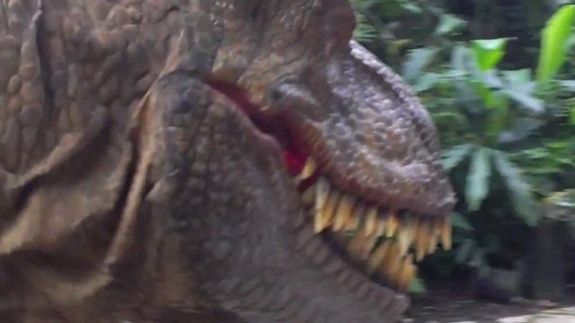 Rex смотреть онлайн
