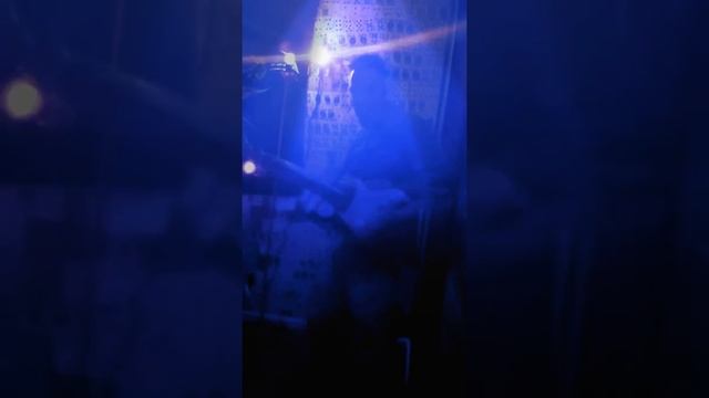 Another cover by Elvis Presley blue suede shoes смотреть онлайн