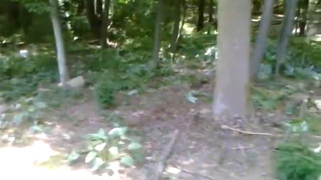 Chopin down some trees смотреть онлайн