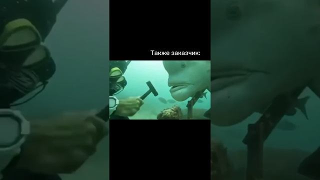 #проектированиедомов #проектыдомов #брикбраер #строительстводома #строительнаякомпания #элитныедома