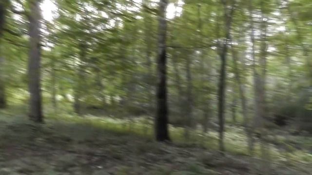 Cкрытая причина всех несчастий смотреть онлайн