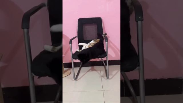 тест на зрение смотреть онлайн