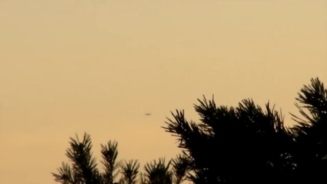 s/o to my stalkers смотреть онлайн