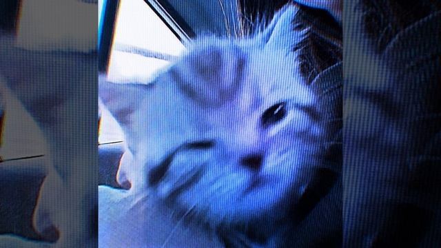 Тату - Робот|||speed up смотреть онлайн