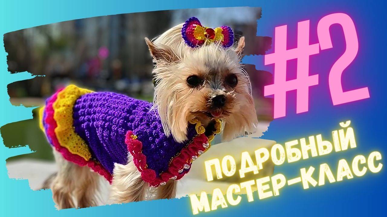 Вяжем крючком платье для собак для мелких пород: 2 часть мастер-класса смотреть онлайн