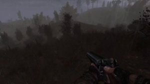 [СТРИМ] Прохождение S.T.A.L.K.E.R. AMK Mod 1.4.1. Autumn edition 3.1 (Серия 1)
