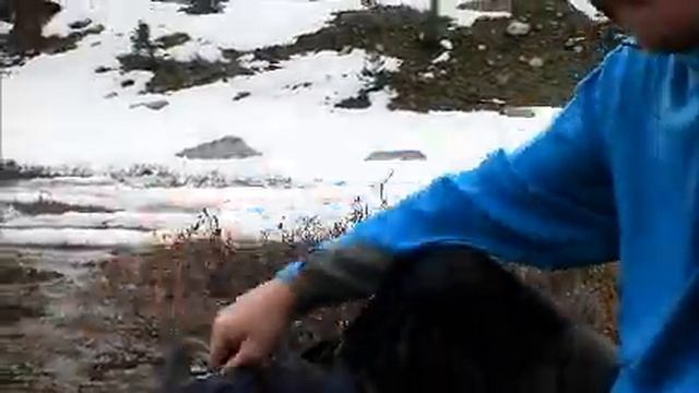 Man v MT 12S1: Early Season Beartooths смотреть онлайн