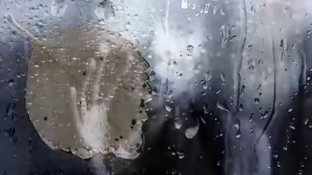 Проект ВИРТ___Моя Сицилия смотреть онлайн