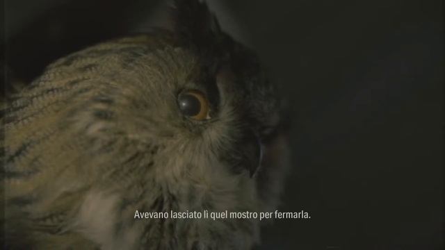 ALAN WAKE II TROVIAMO LA SETTA DELL' ALBERO 🔞 BOSS MULLIGAN 🔦🔫 CLICKER 🎮 PS5 смотреть онлайн