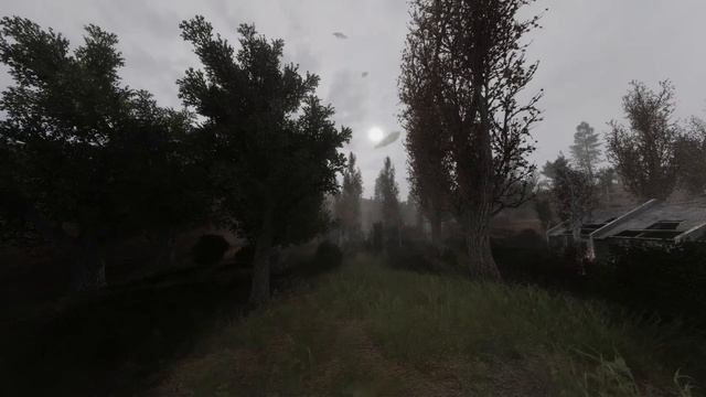 S.T.A.L.K.E.R.: NLC 7 - Cordon. Day. Ambient. смотреть онлайн