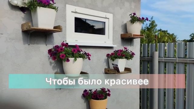 Петуния, которая хорошо переносит плохие погодные условия️Отзыв Таисии Георгиевны | УСАДЬБА-СЕМЕНА