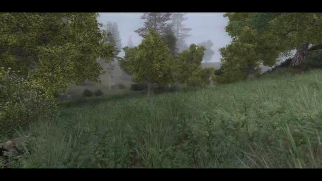 AREA Flora (Болота, Кордон, ТЛ, Свалка) смотреть онлайн