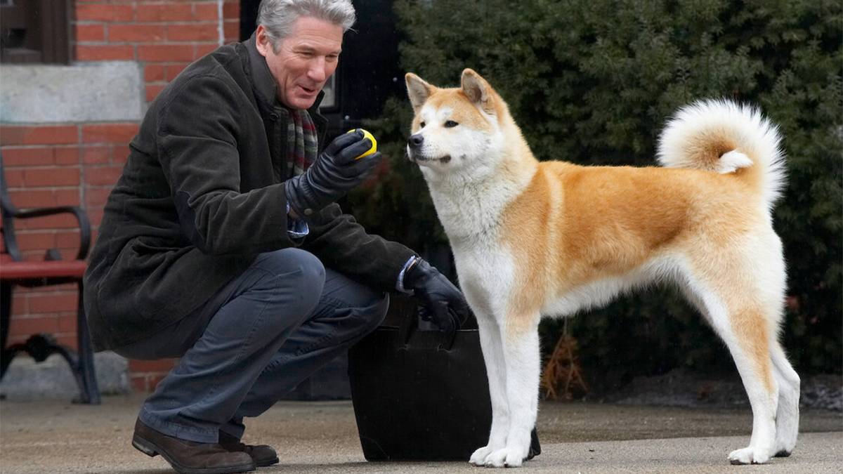 Обзор фильма