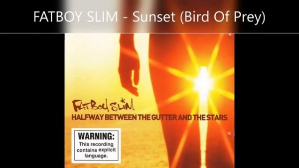 FATBOY SLIM Sunset Bird Of Prey